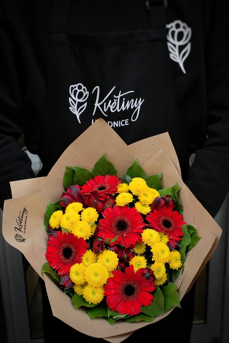 Pokojova rostlina - 520 Kč